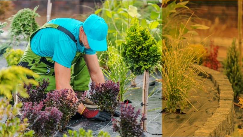 TSC Landscaping image